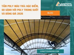 Tấm Poly Màu Trà: Đặc Điểm, So Sánh Với Poly Trong Suốt Và Bảng Giá 2026