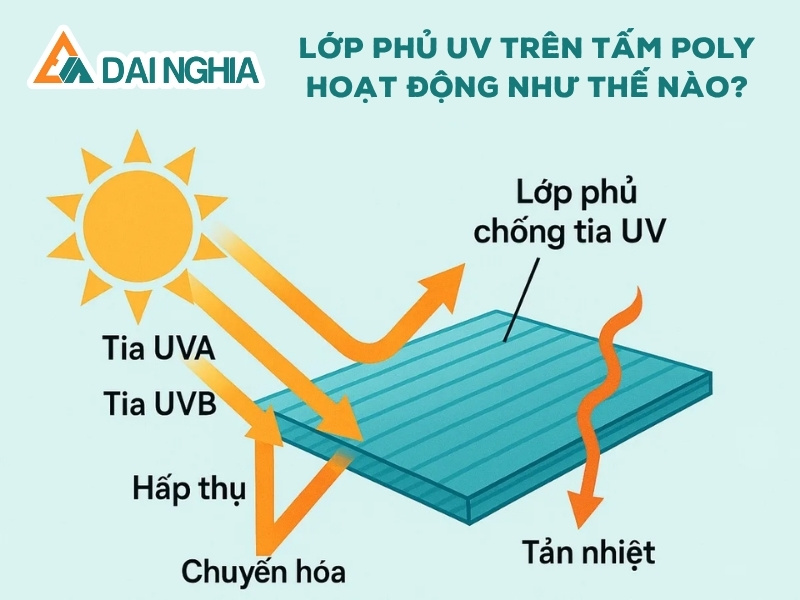 Lớp Phủ UV Trên Tấm Poly Hoạt Động Như Thế Nào?