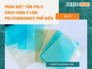 Phân Biệt Tấm Poly: Cách Chọn 3 Loại Polycarbonate Phổ Biến
